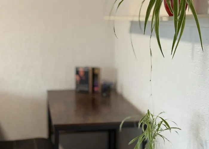 Gemuetliche 2 Zimmer Wohnung